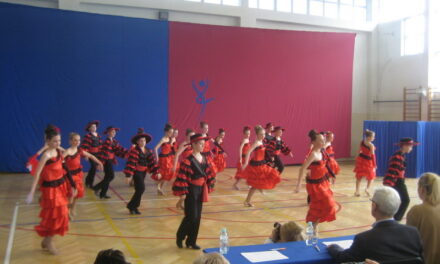 Flamenco w Piruecie