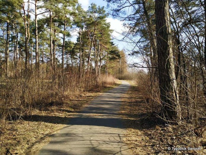 sanok-sosenki (5) Weekend? Wiosenny spacer wzdłuż Sanu