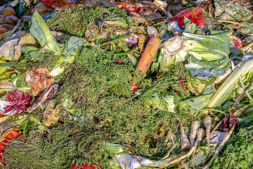 Branża śmieciowa apeluje o rozwiązania dla bioodpadów. Kłopotliwa frakcja