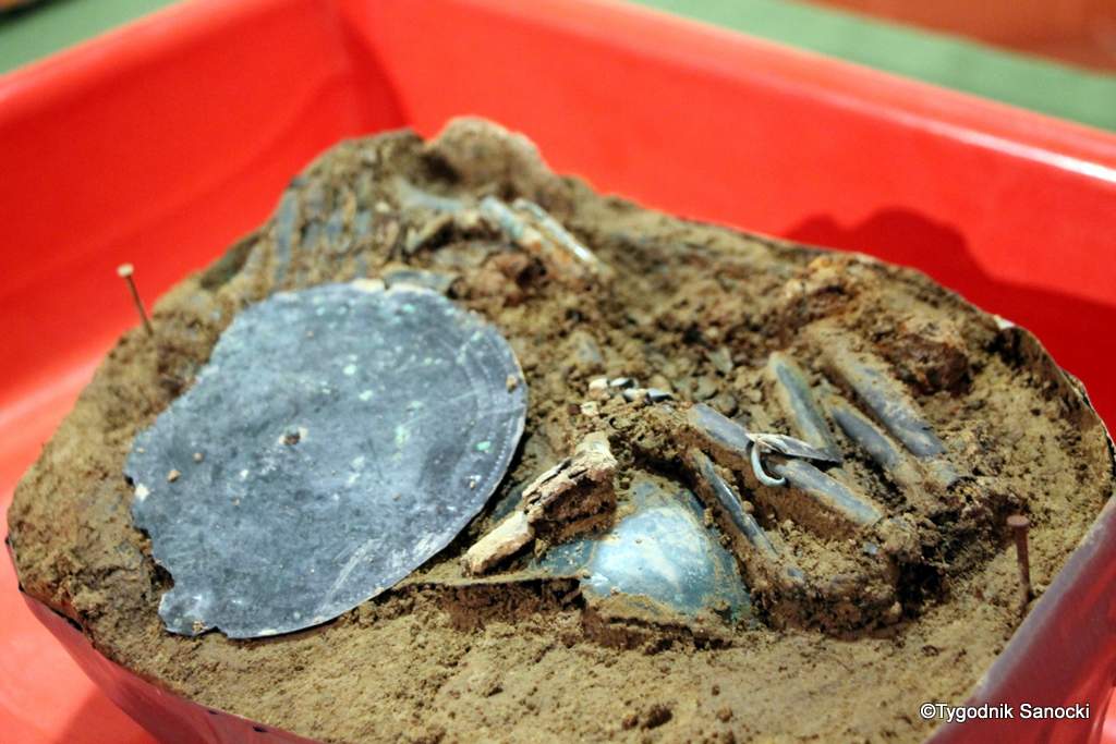 Skarb sprzed 3000 lat, znaleziony pod Sanokiem
