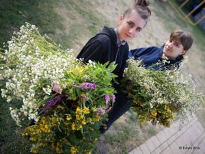 Folkowisko po raz dziewiąty, wciąż najlepsze