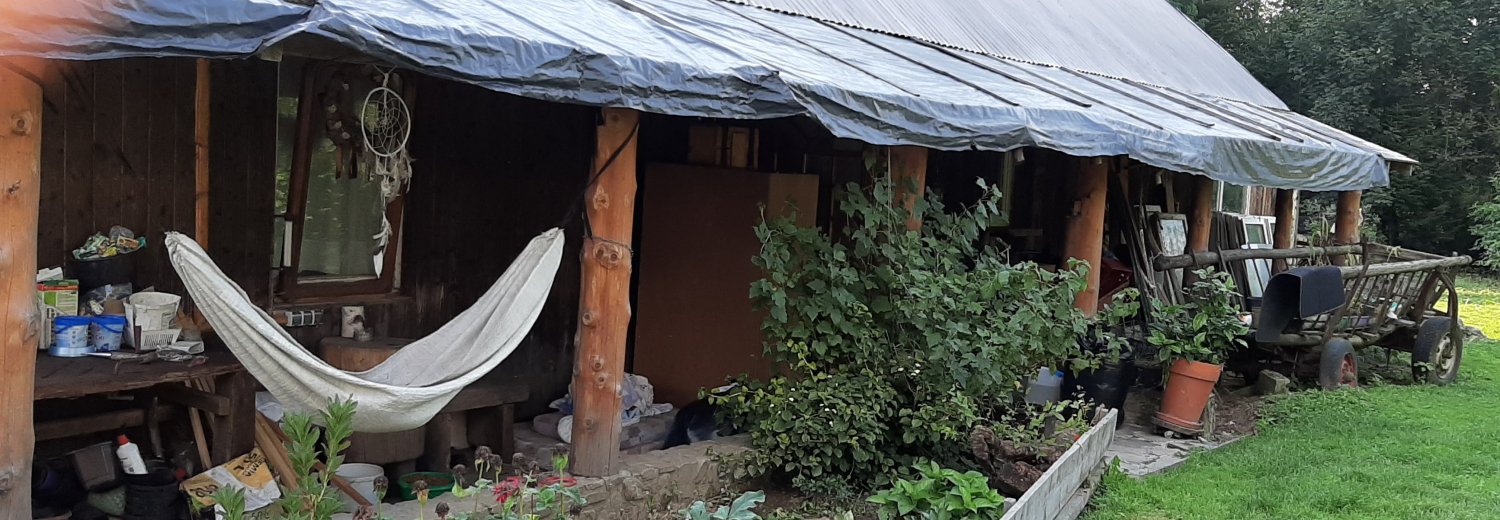 Małgosia Murawska z „Kociej Zagrody” z Łukawicy znów potrzebuje pomocy
