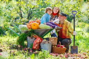 Światowy Dzień Owoców i Warzyw – świętuj codziennie!