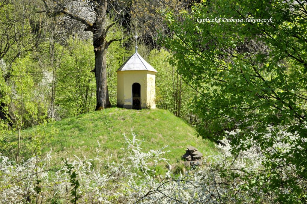 Kapliczki kapliczki z regionu Wołkowyja Przelęcz Hyrcza Zawóz Sakwoczyk Nowosiółki fotogaleria 21 1024x681 - Kapliczki z regionu: Wołkowyja, Przelęcz Hyrcza, Zawóz, Sakwoczyk, Nowosiółki - fotogaleria Kapliczki kapliczki z regionu Wołkowyja Przelęcz Hyrcza Zawóz Sakwoczyk Nowosiółki fotogaleria 21 1024x681 - Kapliczki z regionu: Wołkowyja, Przelęcz Hyrcza, Zawóz, Sakwoczyk, Nowosiółki - fotogaleria