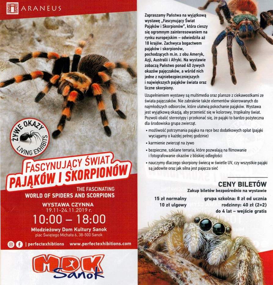 Wystawa „Fascynujący świat pająków i skorpionów” w Sanoku