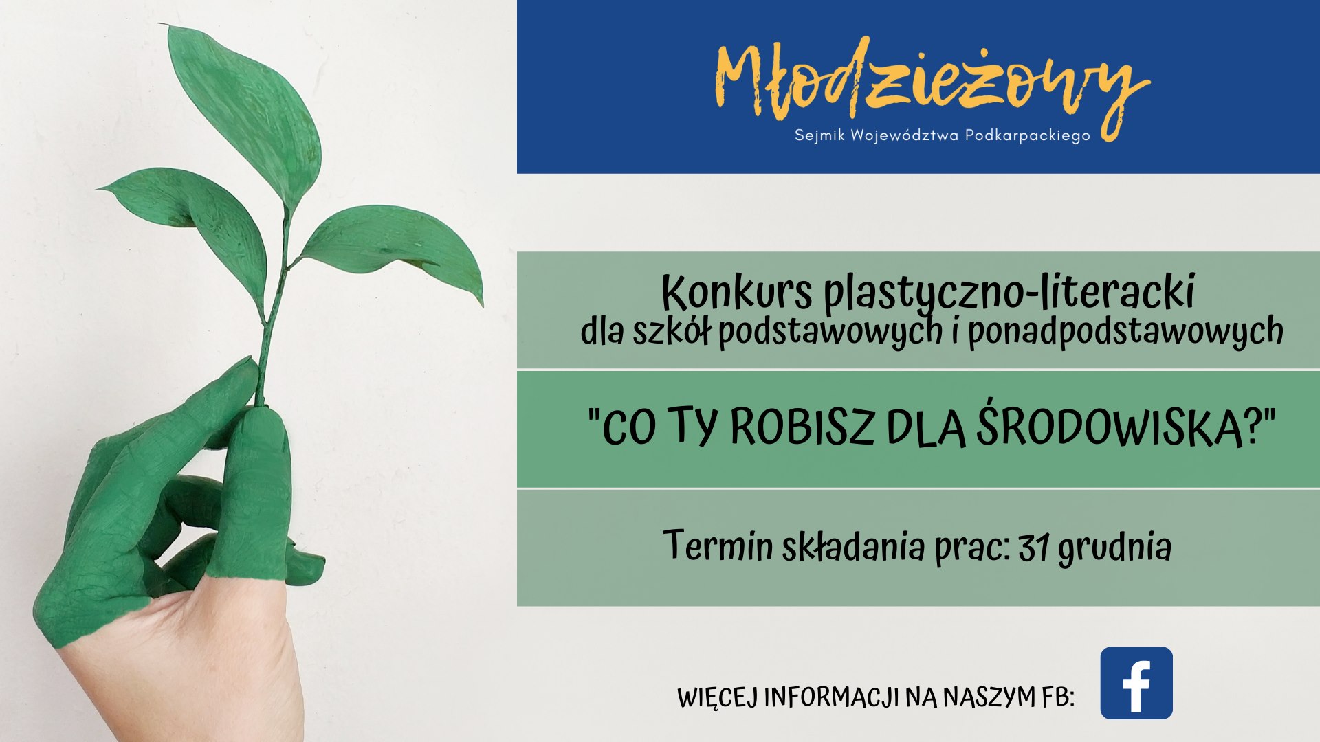 Młodzieżowy Sejmik Województwa Podkarpackiego zaprasza dzieci i młodzież do udziału w konkursie: „Co ty robisz dla środowiska?”