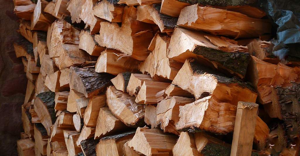 Jaka pilarka elektryczna będzie odpowiednia do cięcia drewna?
