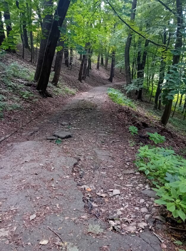 Pominięta alejka w parku