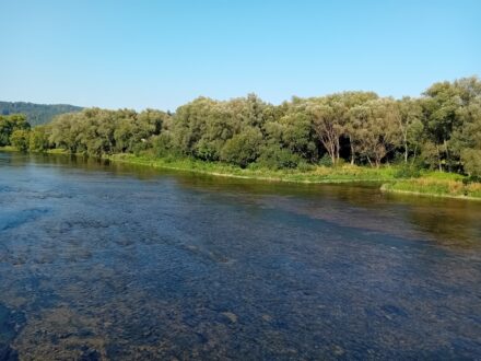 Wywiady z przewodniczącymi rad dzielnic – Maria Hassinger (Olchowce)