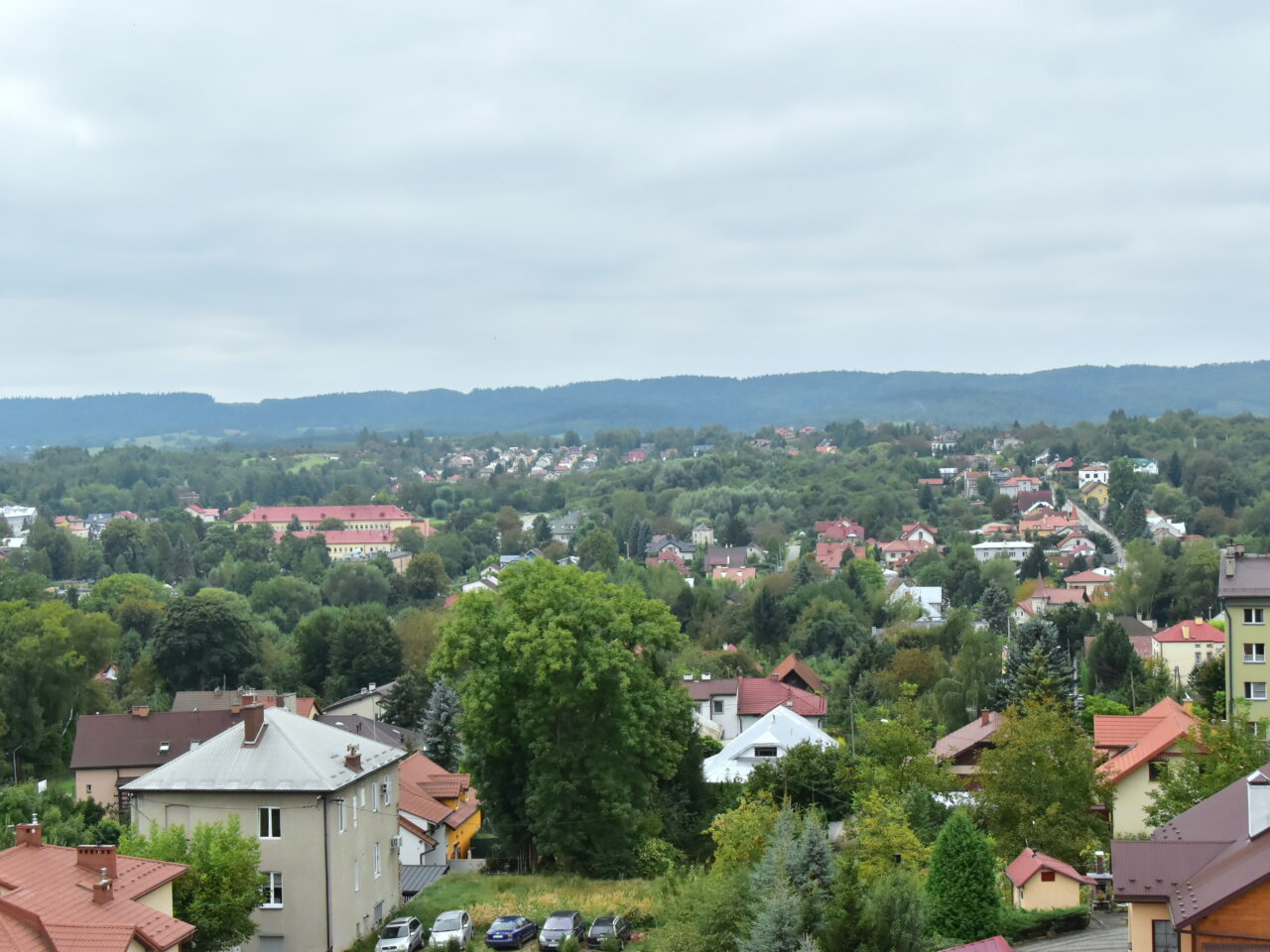 Wywiady z przewodniczącymi rad dzielnic – Janusz Florek (Zatorze)